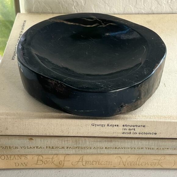 Petrified Wood Bowl/Ashtray From Indonesia Tertiary Period Over A Million Years - Picture 1 of 16